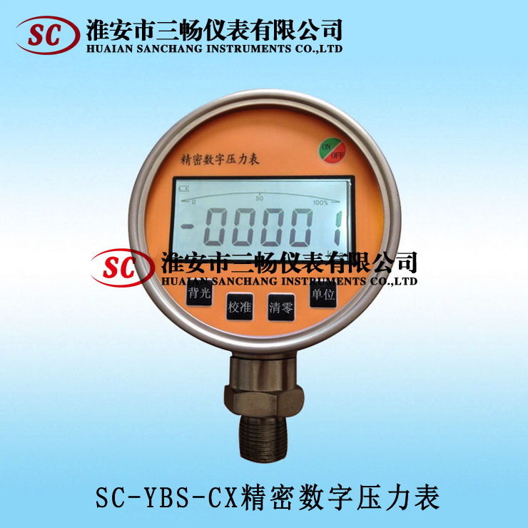 YBS-CX精密數字壓力表